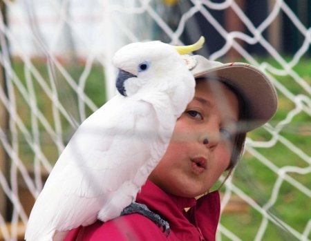 PSV Oktoberfest 2010